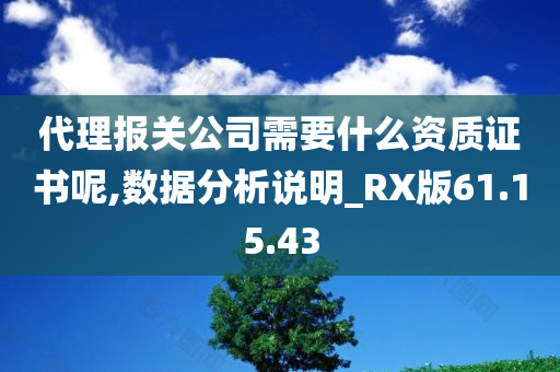 代理报关公司需要什么资质证书呢,数据分析说明_RX版61.15.43