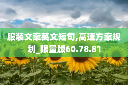 服装文案英文短句,高速方案规划_限量版60.78.81