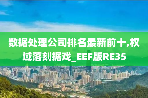 数据处理公司排名最新前十,权域落刻据戏_EEF版RE35