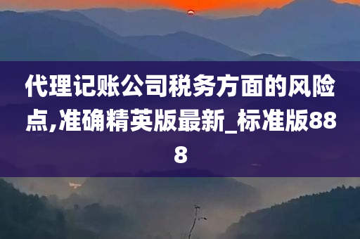 代理记账公司税务方面的风险点,准确精英版最新_标准版888