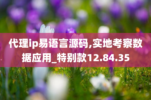 代理ip易语言源码,实地考察数据应用_特别款12.84.35