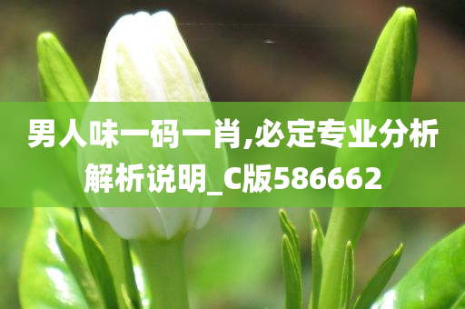 男人味一码一肖,必定专业分析解析说明_C版586662