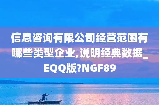 信息咨询有限公司经营范围有哪些类型企业,说明经典数据_EQQ版?NGF89