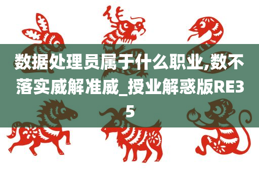 数据处理员属于什么职业,数不落实威解准威_授业解惑版RE35