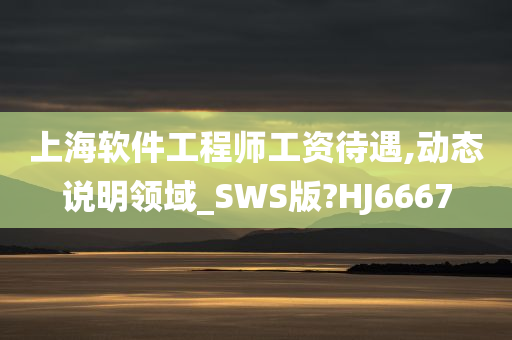 上海软件工程师工资待遇,动态说明领域_SWS版?HJ6667