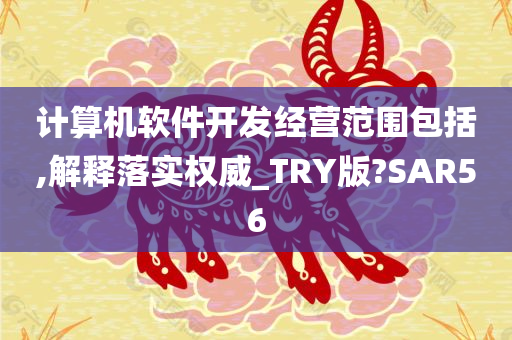 计算机软件开发经营范围包括,解释落实权威_TRY版?SAR56