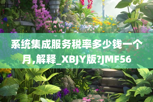 系统集成服务税率多少钱一个月,解释_XBJY版?JMF56