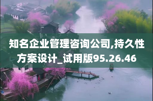 知名企业管理咨询公司,持久性方案设计_试用版95.26.46