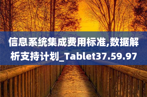 信息系统集成费用标准,数据解析支持计划_Tablet37.59.97