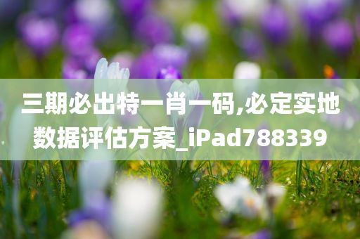 三期必出特一肖一码,必定实地数据评估方案_iPad788339