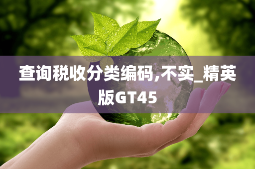 查询税收分类编码,不实_精英版GT45