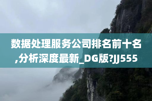 数据处理服务公司排名前十名,分析深度最新_DG版?JJ555