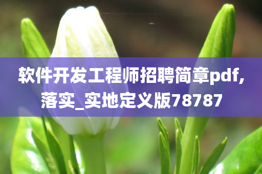 软件开发工程师招聘简章pdf,落实_实地定义版78787