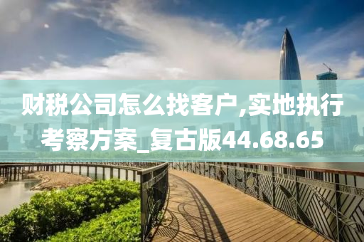 财税公司怎么找客户,实地执行考察方案_复古版44.68.65