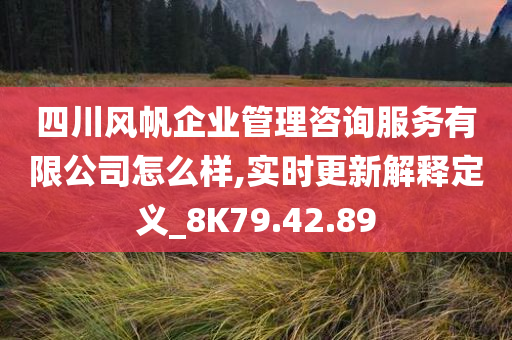 四川风帆企业管理咨询服务有限公司怎么样,实时更新解释定义_8K79.42.89