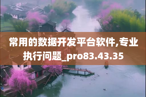 常用的数据开发平台软件,专业执行问题_pro83.43.35