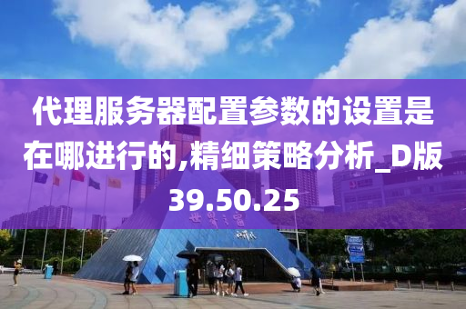 代理服务器配置参数的设置是在哪进行的,精细策略分析_D版39.50.25