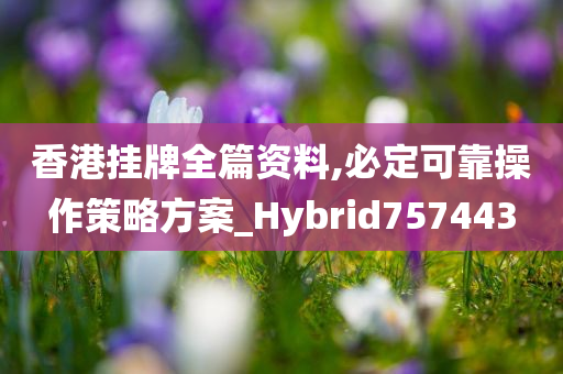 香港挂牌全篇资料,必定可靠操作策略方案_Hybrid757443