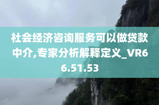 社会经济咨询服务可以做贷款中介,专家分析解释定义_VR66.51.53