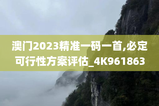 澳门2023精准一码一首,必定可行性方案评估_4K961863