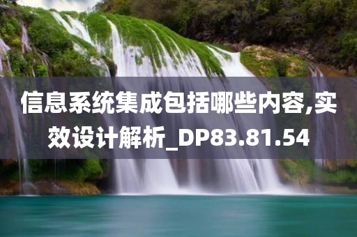 信息系统集成包括哪些内容,实效设计解析_DP83.81.54