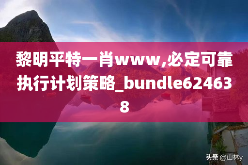 黎明平特一肖www,必定可靠执行计划策略_bundle624638