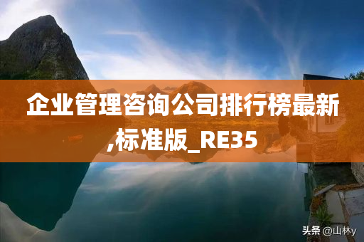 企业管理咨询公司排行榜最新,标准版_RE35