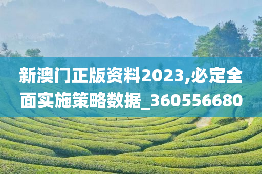 新澳门正版资料2023,必定全面实施策略数据_360556680