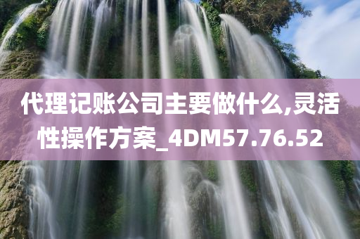 代理记账公司主要做什么,灵活性操作方案_4DM57.76.52