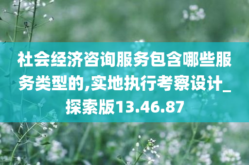 社会经济咨询服务包含哪些服务类型的,实地执行考察设计_探索版13.46.87