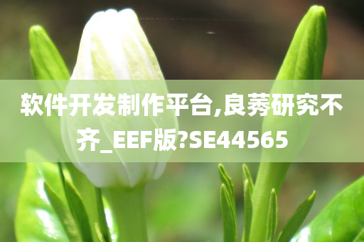 软件开发制作平台,良莠研究不齐_EEF版?SE44565