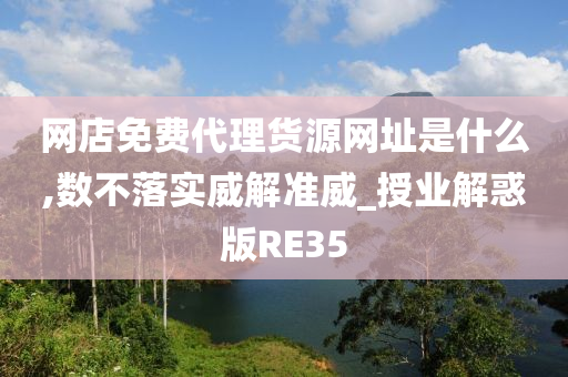 网店免费代理货源网址是什么,数不落实威解准威_授业解惑版RE35