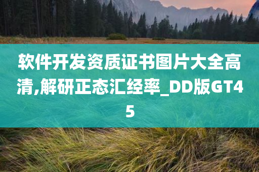 软件开发资质证书图片大全高清,解研正态汇经率_DD版GT45