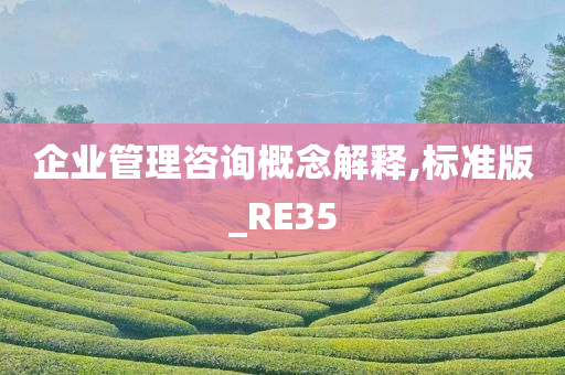 企业管理咨询概念解释,标准版_RE35