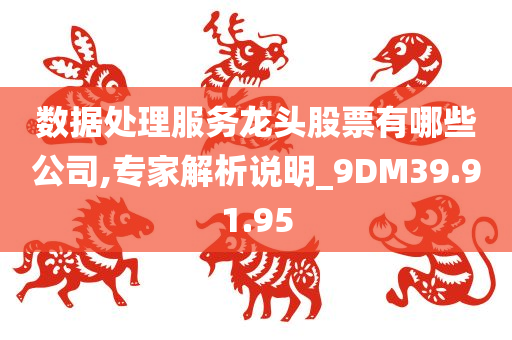 数据处理服务龙头股票有哪些公司,专家解析说明_9DM39.91.95