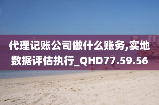 代理记账公司做什么账务,实地数据评估执行_QHD77.59.56