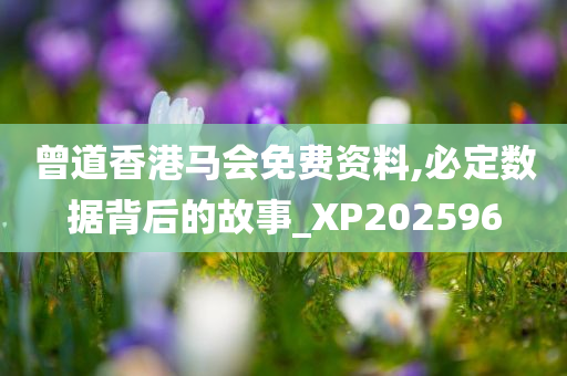 曾道香港马会免费资料,必定数据背后的故事_XP202596