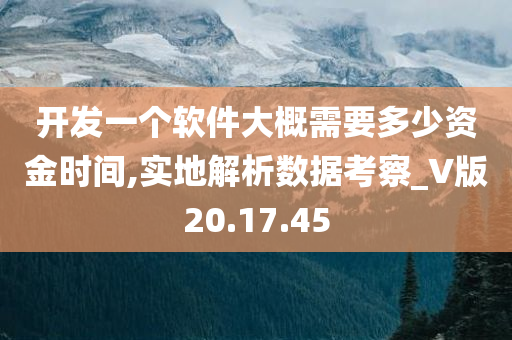 开发一个软件大概需要多少资金时间,实地解析数据考察_V版20.17.45