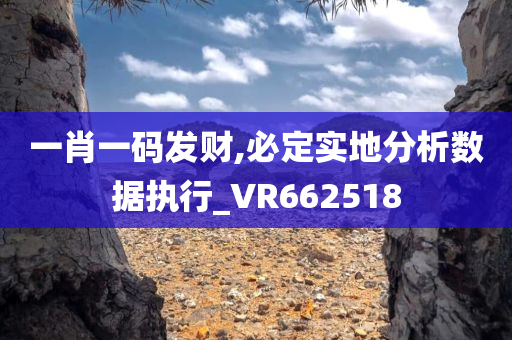 一肖一码发财,必定实地分析数据执行_VR662518