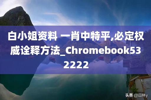 白小姐资料 一肖中特平,必定权威诠释方法_Chromebook532222