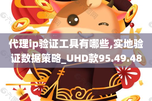 代理ip验证工具有哪些,实地验证数据策略_UHD款95.49.48