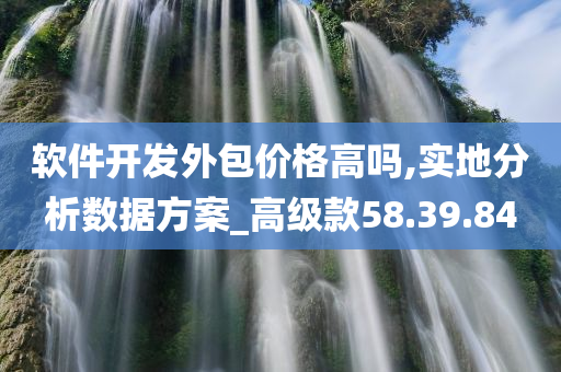 软件开发外包价格高吗,实地分析数据方案_高级款58.39.84