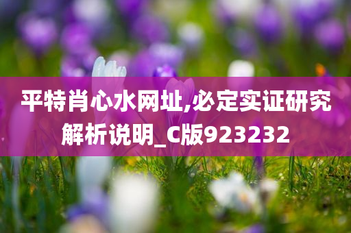 平特肖心水网址,必定实证研究解析说明_C版923232