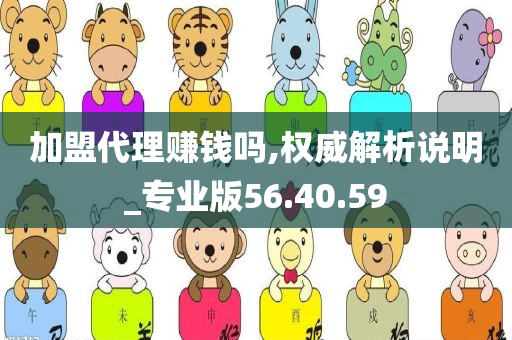 加盟代理赚钱吗,权威解析说明_专业版56.40.59