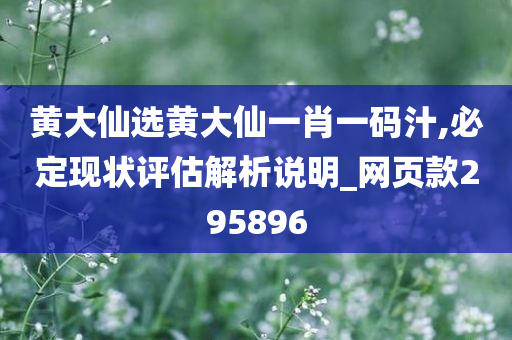 黄大仙选黄大仙一肖一码汁,必定现状评估解析说明_网页款295896