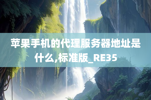 苹果手机的代理服务器地址是什么,标准版_RE35