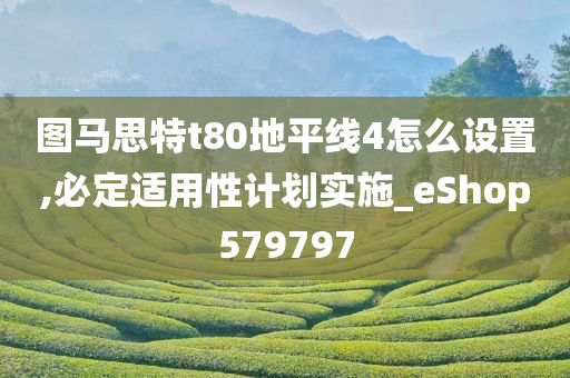 图马思特t80地平线4怎么设置,必定适用性计划实施_eShop579797