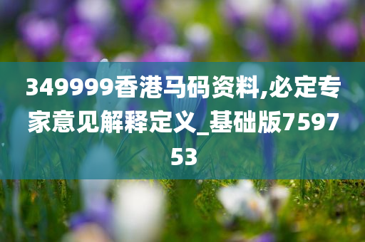 349999香港马码资料,必定专家意见解释定义_基础版759753