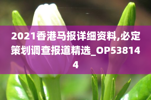 2021香港马报详细资料,必定策划调查报道精选_OP538144