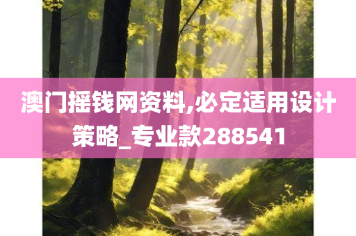 澳门摇钱网资料,必定适用设计策略_专业款288541